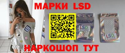 гидропоника Кудрово