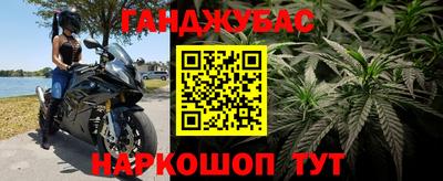эйфоретик Кузнецк