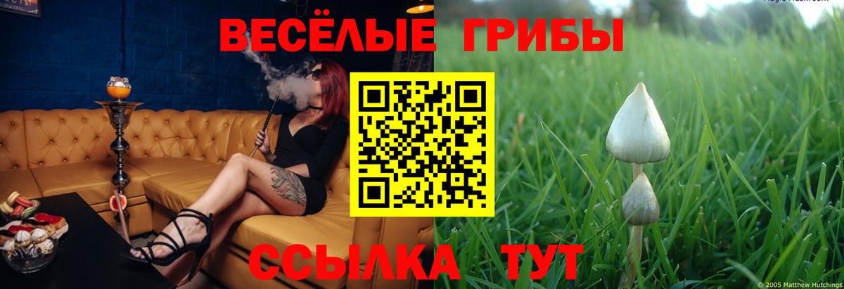 Грозный  Псилоцибиновые грибы мухоморы  Вход с VPN 